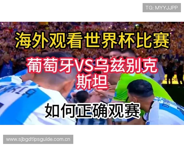 世界杯葡萄牙队与乌兹别克斯坦队控球战术变化及其对比赛结果的影响详解